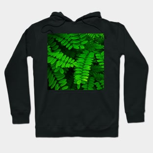 Green Leaves Hoodie